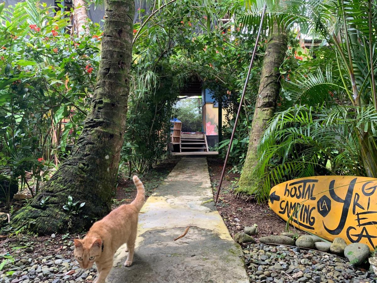 Hotel Surf Camp Bocas del Toro Zewnętrze zdjęcie