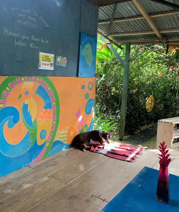 Hotel Surf Camp Bocas del Toro Zewnętrze zdjęcie