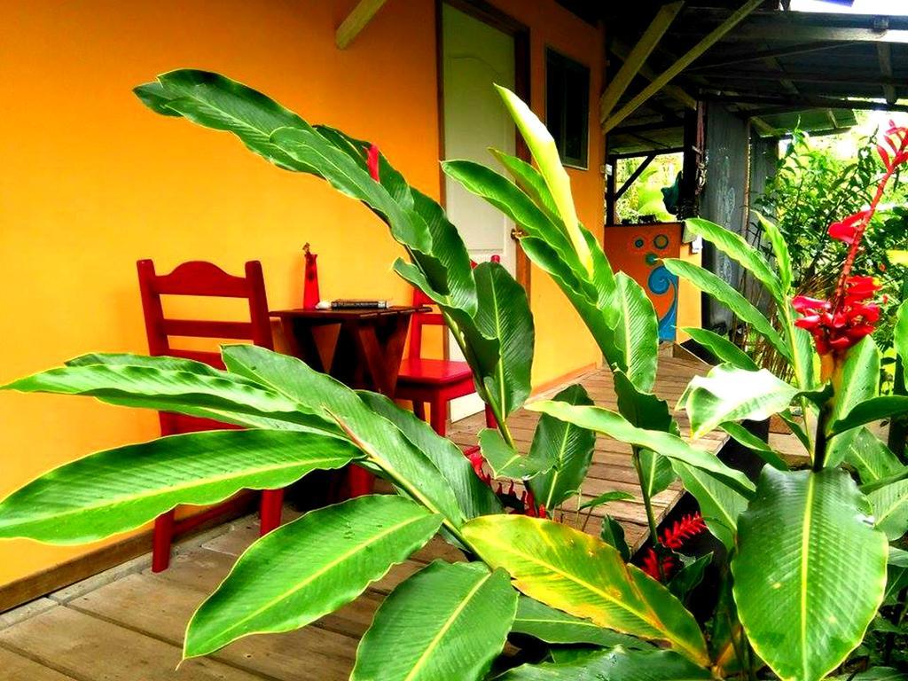 Hotel Surf Camp Bocas del Toro Zewnętrze zdjęcie