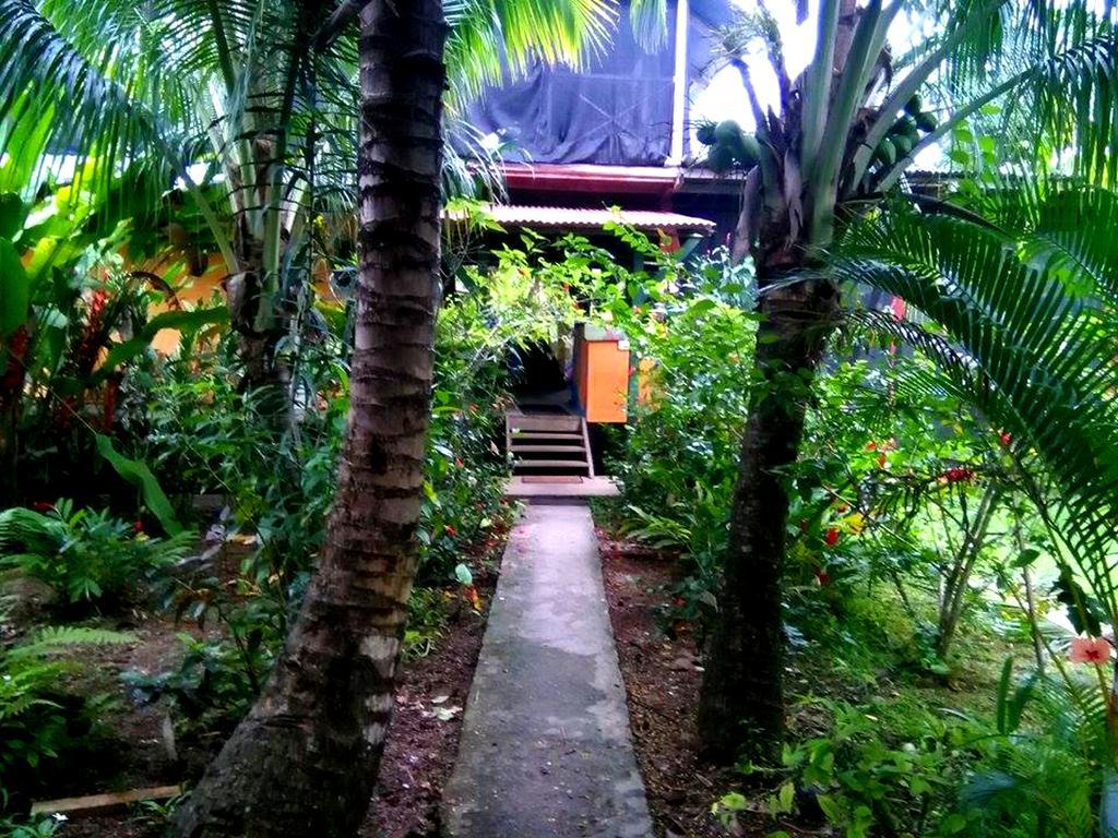 Hotel Surf Camp Bocas del Toro Zewnętrze zdjęcie